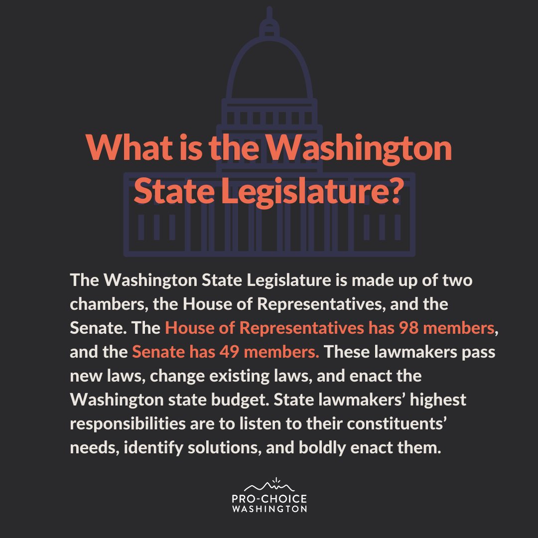 ProChoiceWA's tweet photo. This week our activists have been meeting directly with their lawmakers via Zoom to lobby for the #KeepOurCareAct and Progressive revenue during Advocacy Week. Check out how the state legislature and legislative session works: https://t.co/FwqyjuOcZG #BalanceOurTaxCode #waleg https://t.co/Ze3sQEpCF2