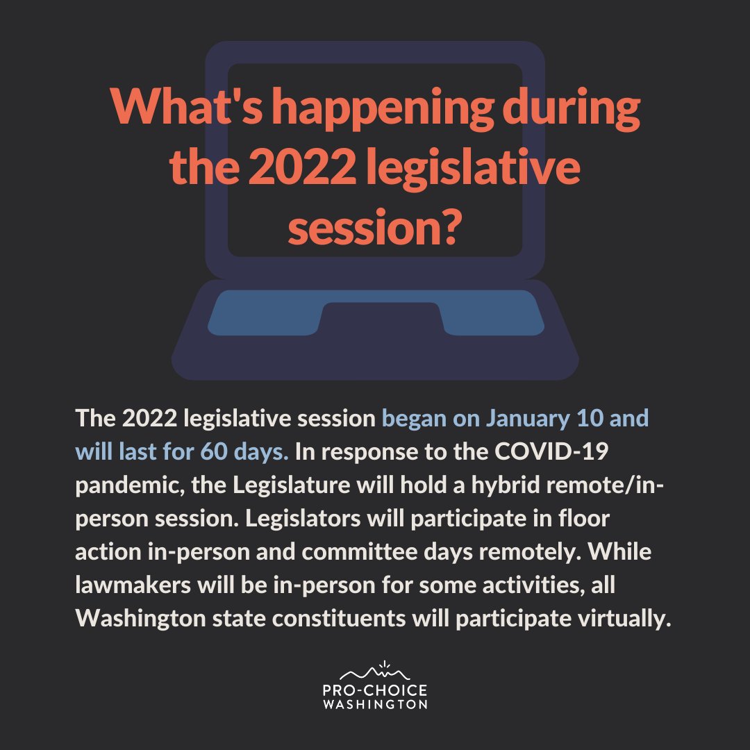 ProChoiceWA's tweet photo. This week our activists have been meeting directly with their lawmakers via Zoom to lobby for the #KeepOurCareAct and Progressive revenue during Advocacy Week. Check out how the state legislature and legislative session works: https://t.co/FwqyjuOcZG #BalanceOurTaxCode #waleg https://t.co/Ze3sQEpCF2