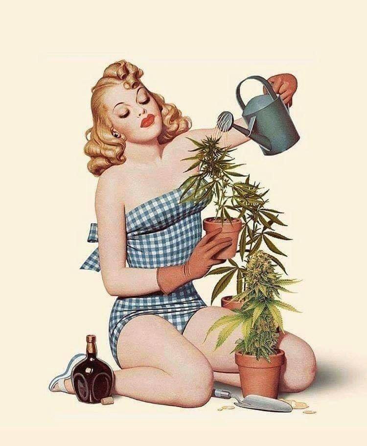 CannaWorld4's tweet photo. https://t.co/syDpRSuFiA