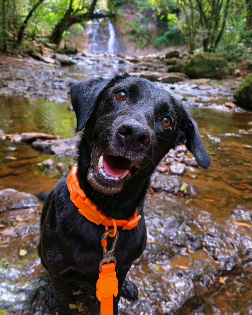 LUKE & ARYA tweet media