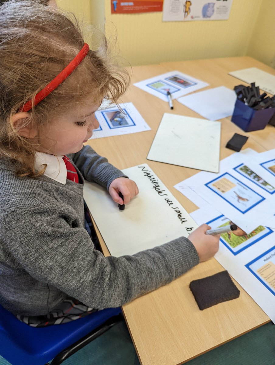 YateleyManorSch's tweet photo. Year 2 are currently learning all about birds! Today, they enjoyed a round robin of bird related activities, including making bird feeders which were hung up outside! Lucky birds! πͺΆπ¦π¦
ππ¦
#yateleymanorpreprep #year2 #teamwork #woodlandlearning https://t.co/wWZV79SCoY