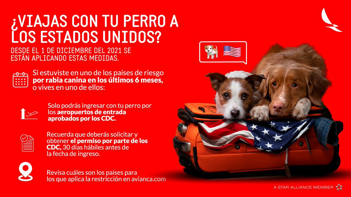 تويتر \ Avianca على تويتر: "¿Quieres viajar con tu perrito a #USA? ✈️🐶  Entérate de las condiciones que debes cumplir para el ingreso de tu mascota  aquí: https://t.co/L0dMXMb0id. https://t.co/82kmIChlp7"