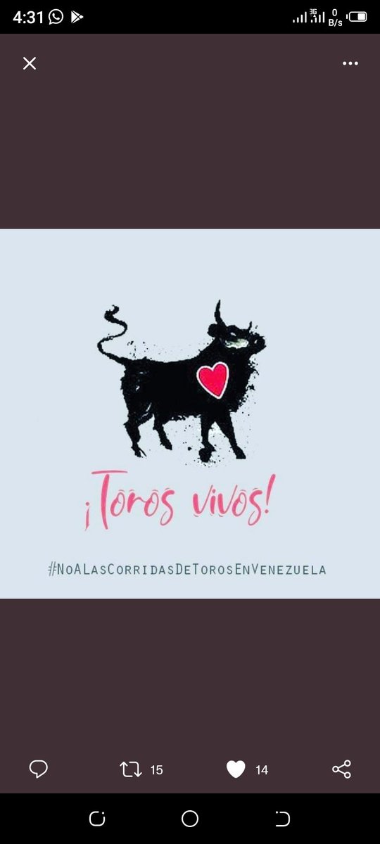 Para descolonizar hay que tomar decisiones como la eliminación de las corridas de toros, @nicolasmaduro, solicitamos decreto de eliminación de una actividad grotesca que no es originaria de nuestra América #VenezuelaSinCorridasDeToros #OtraFeriaEsPosible