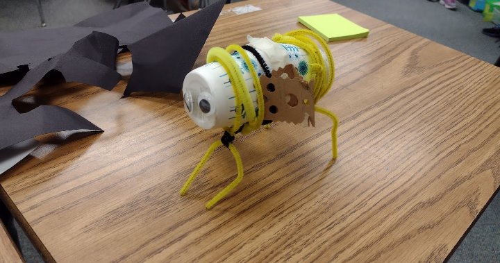 Reading multiple texts to compare plant and animal structures and building super-species.  It's STEM Day <a href="/SWETornadoes/">StantonWeirsdaleMCPS</a>