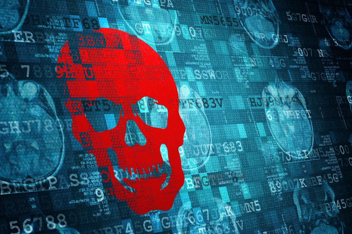 Radware en Español tweet media