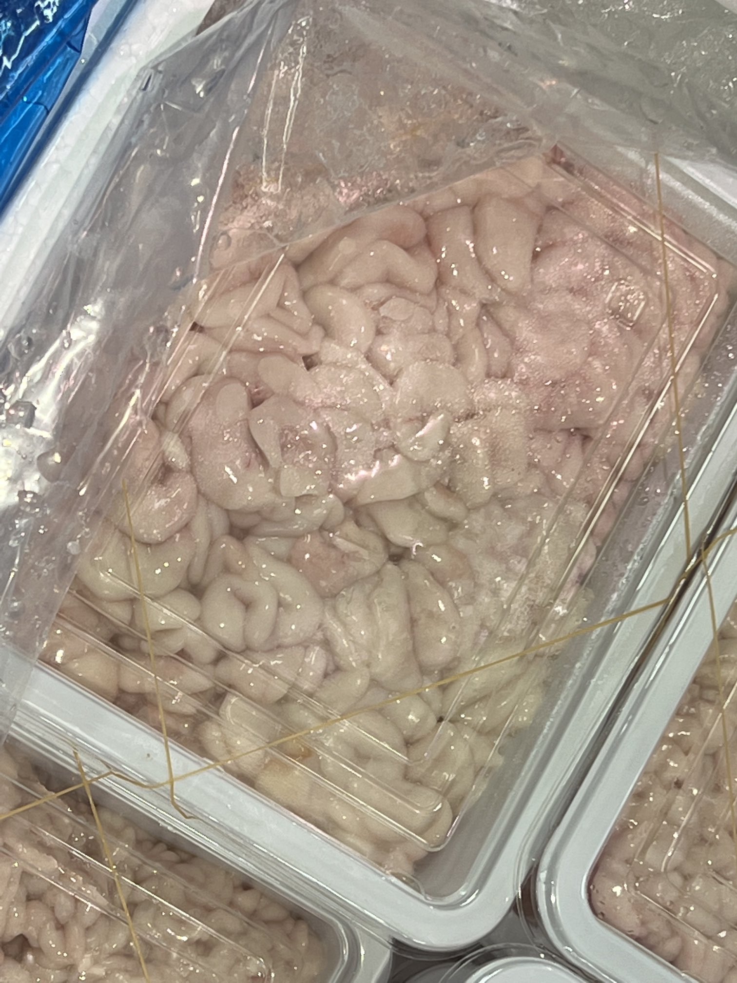 ネット販売専門魚屋from豊洲市場 築地 魚健 ウニ カニ 牡蠣 鮮魚 Uoken Isobe Twitter
