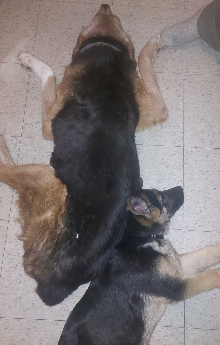 DearestDogDave's tweet image. We got each other's backs ❤❤

Please retweet for #BellLetsTalk