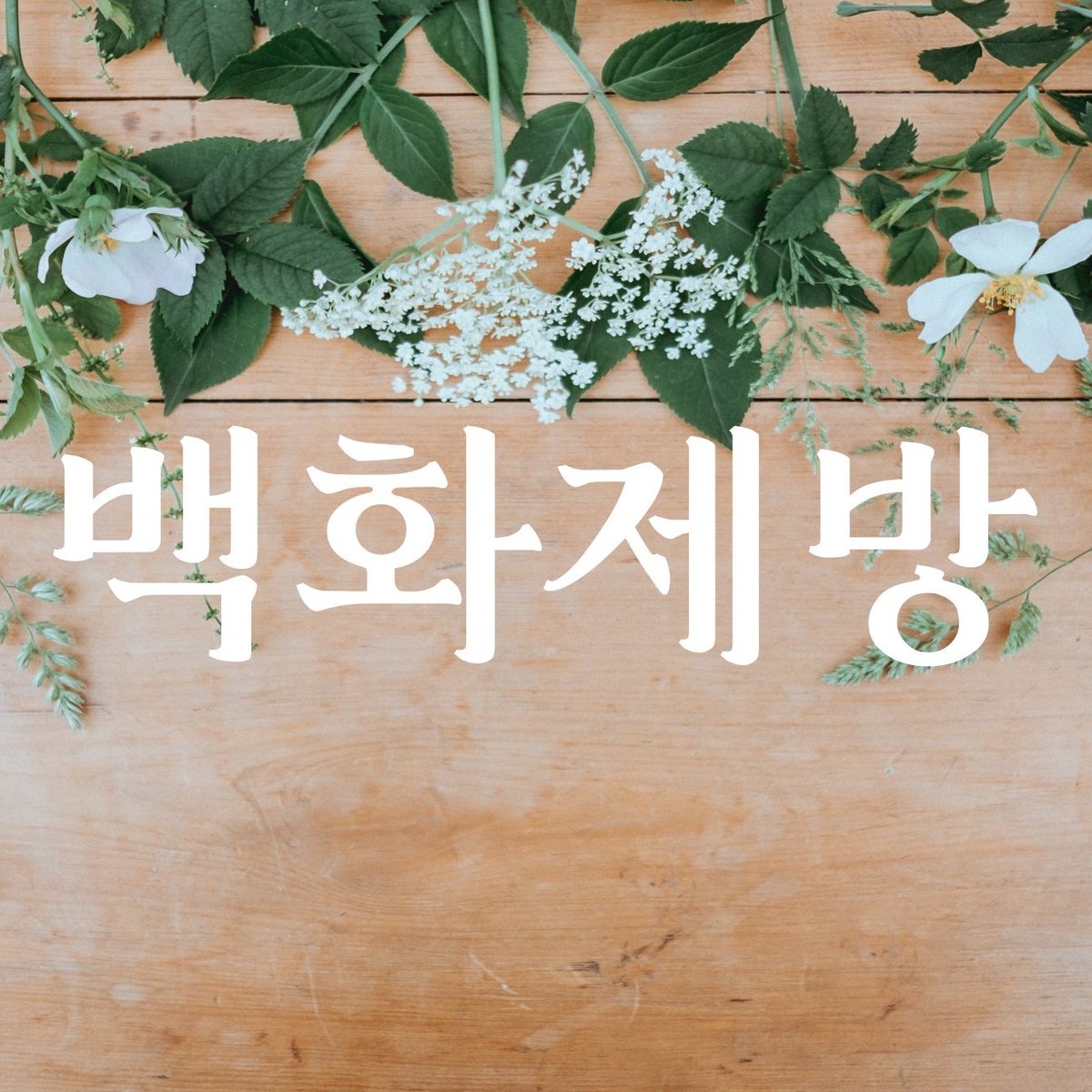 flowerarebloomy's tweet photo. #백화제방 #RT이벤트 #귀신이오는밤

백화제방 작가님들이 다수 참여하신 <귀신이 오는 밤> 출간 기념 RT이벤트를 개최합니다!

참여 방법: 백화제방 계정 팔로우+RT
이벤트 상품: <귀신이 오는 밤> 종이책 1권(3명) &amp; 고양이 무드등 1구(3명)
당첨자 발표: 2022년 귀신날(양력 2월 16일) https://t.co/obhFzJS3LC