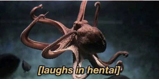 Como ya adelantaron mis amigos, vamos a fusionar <a href="/RushTeamFC/">Rush Team</a> y <a href="/esplatense/">Esports Club Atlético Platense</a> de cara a la temporada que viene 👉🏻👈🏻

Gracias a <a href="/blooread/">Blurry</a>, <a href="/NicoCarp_18/">Eusebio</a> y <a href="/DukiCAl/">Duki</a> por confiar en la idea ❤️🦑