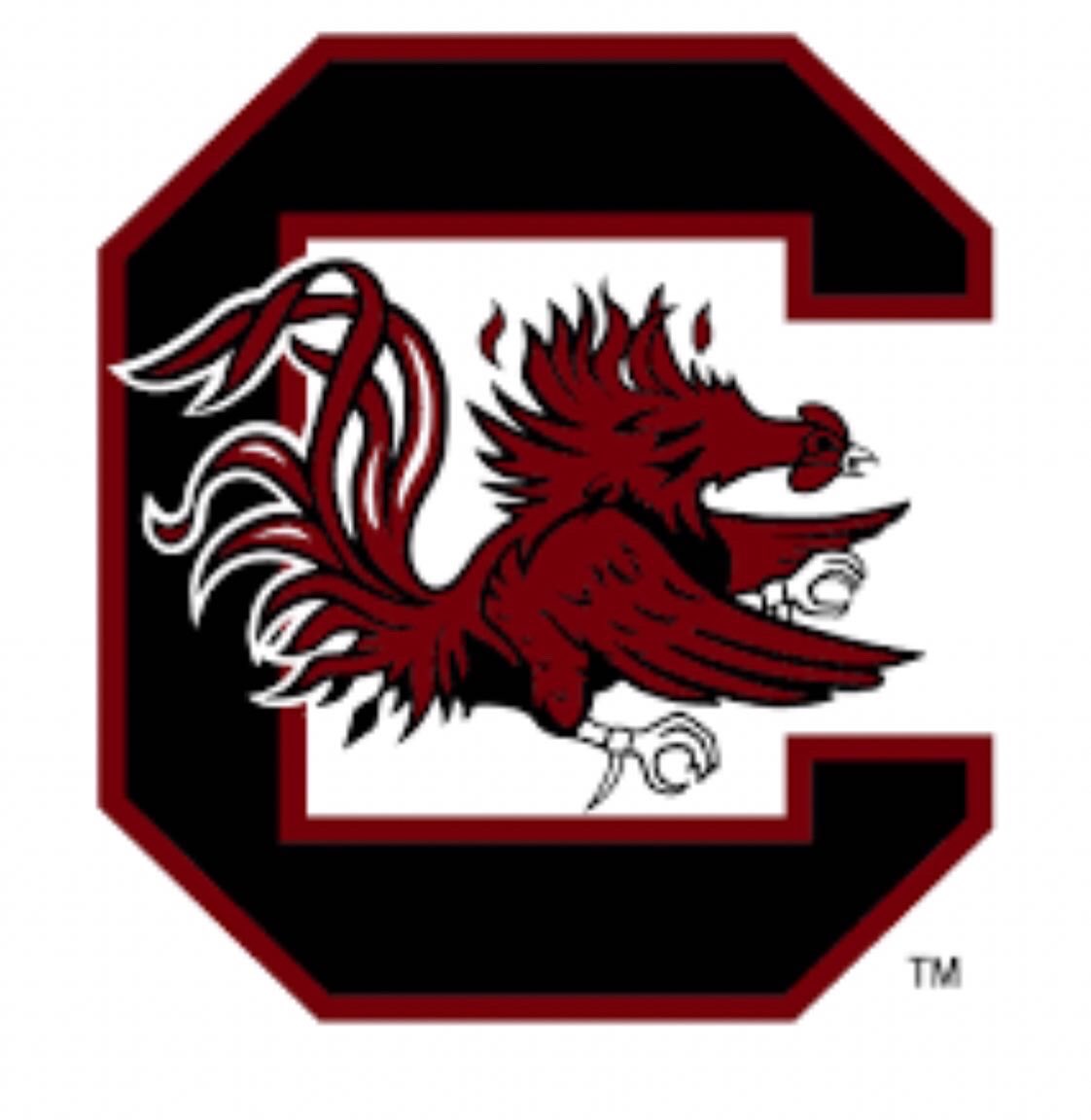 Sgkozyy's tweet photo. Blessed to receive a(n) offer from the University of South Carolina @TBTFootball @coachjstepp @st8truthfam @GamecockFB https://t.co/DymAsMYlxY