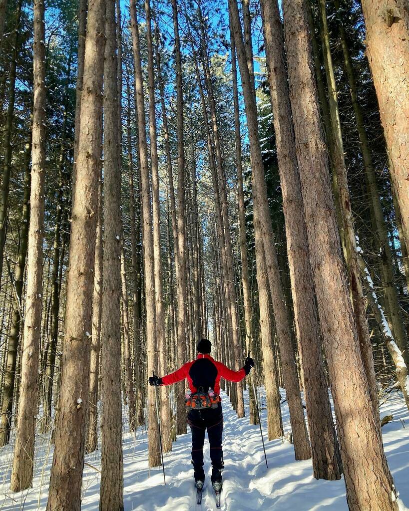 Winter wonderland in the woods 
#winter #snow #xcskiing #woods #playoutside 
#winterwonderland instagr.am/p/CZNg6BOu_AL/