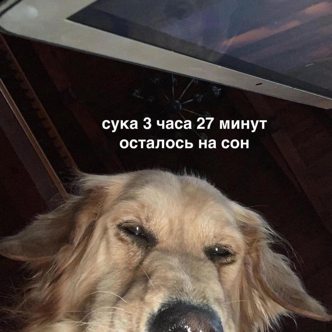 alekssugar's tweet photo. @back_dead19 Халоу https://t.co/XG44qMkCX5