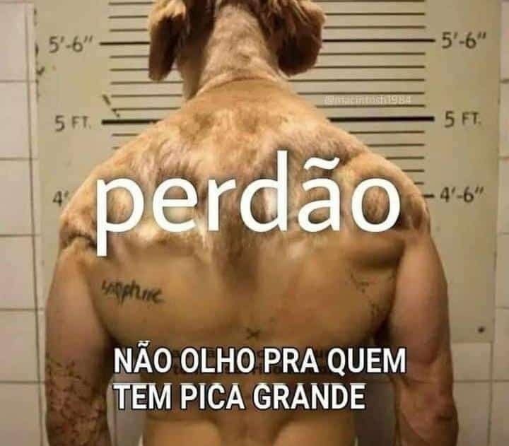 Nual145's tweet photo. @guisannuoficial @Natalia_rocha18 @lil_vinicinho https://t.co/ZakkDW9NgW