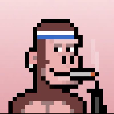 SlangingCrypto's tweet image. #NewProfilePic