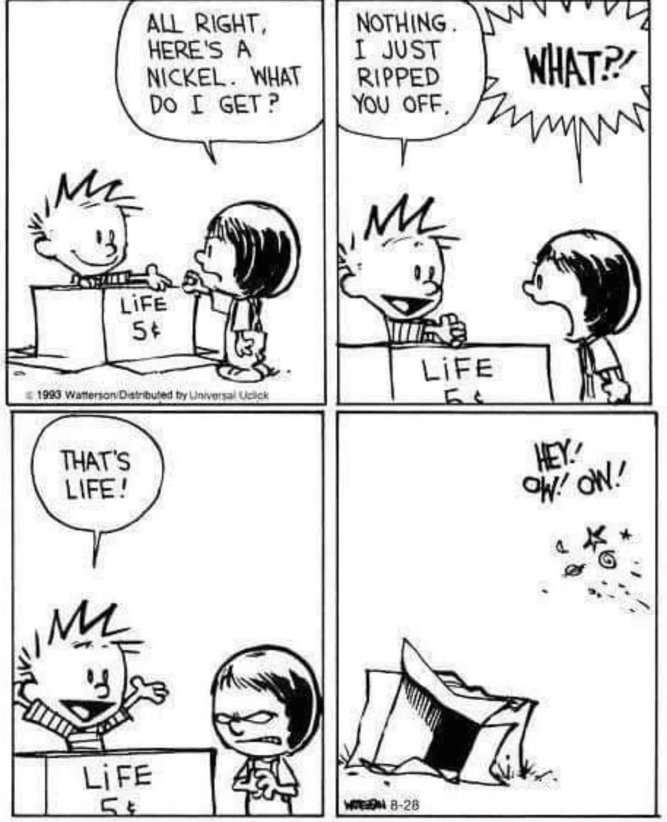Calvinn_Hobbes's tweet photo. Susie did not like that… 😂 #CalvinandHobbes https://t.co/4hMbciWLWJ
