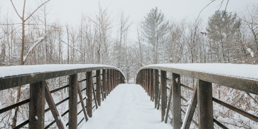 gostowe's tweet photo. Over the river and through the woods...
#gostowe #winterinstowe #stowerecpath
PC: @StoweMtResort https://t.co/rPkixAQ65S
