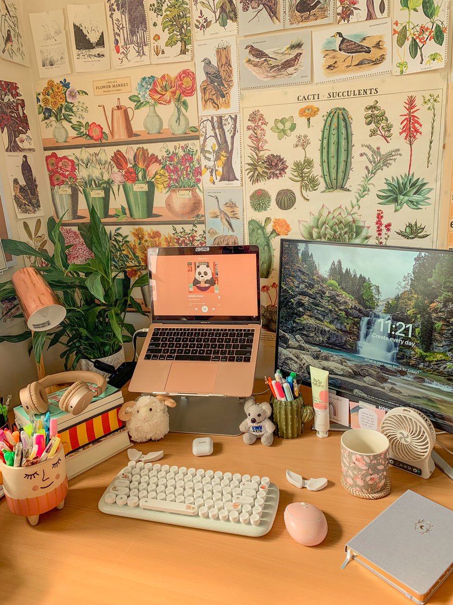 Shekinah Glory 🐻 tweet media