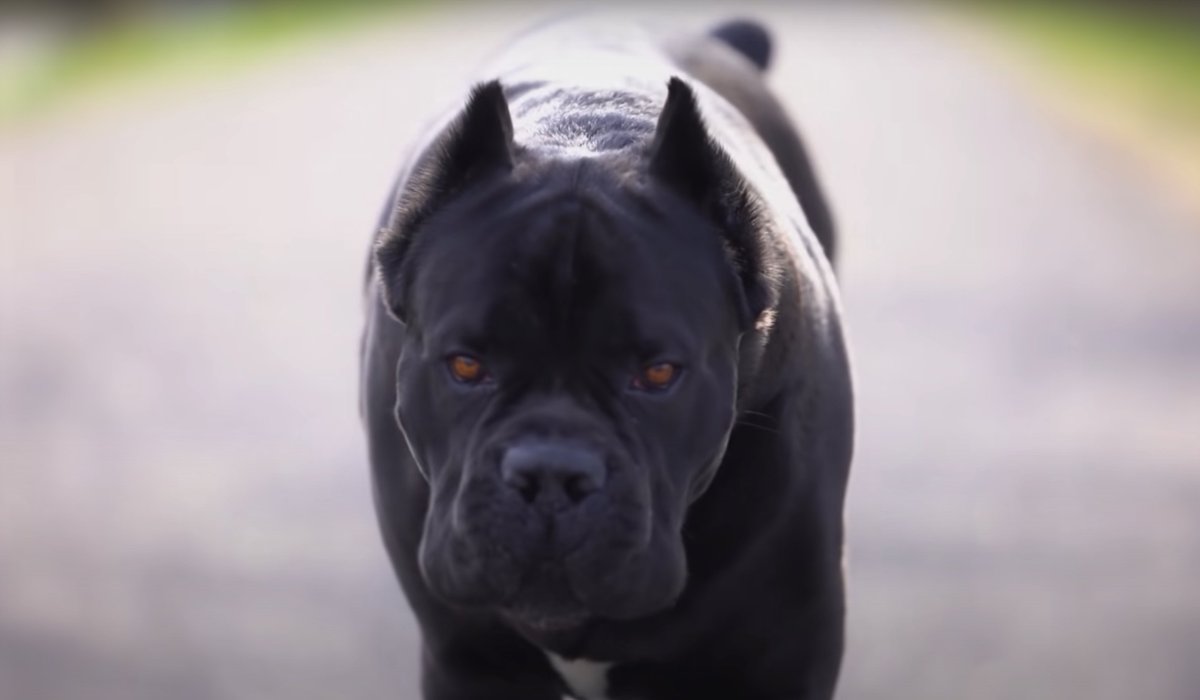 Sad Titans Fan (sad_titans_fan) Twitter