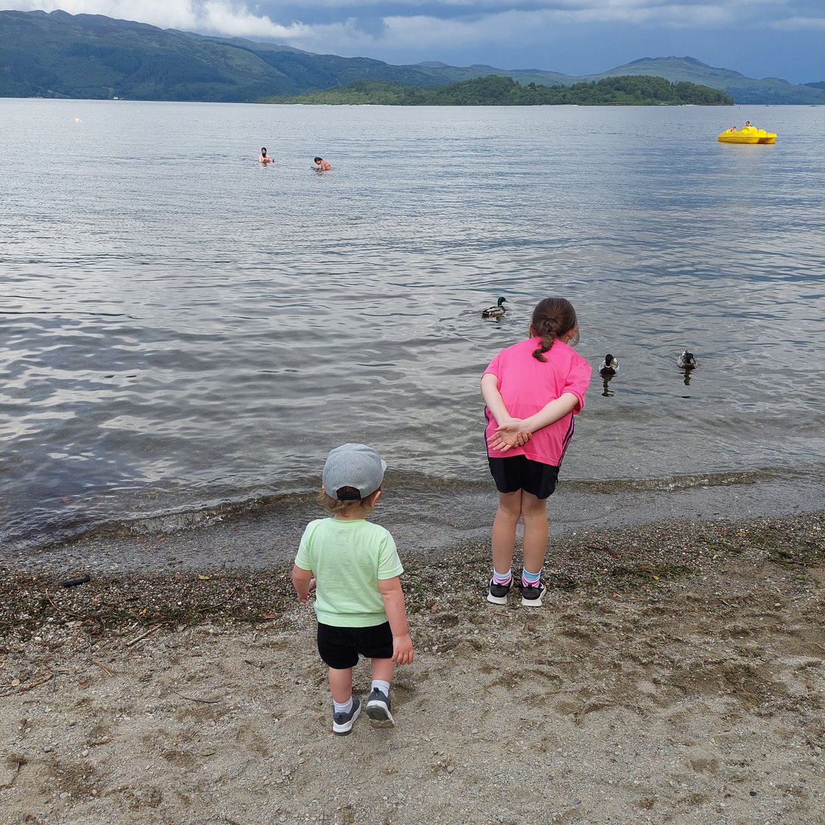 Pedroming tweet media