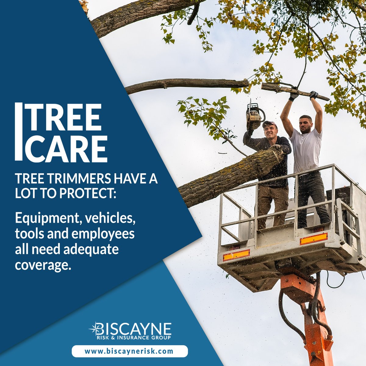 BiscayneRisk's tweet photo. Tree Trimmers have a lot to protect: equipment, vehicles, tools and employees. Contact us today to learn more about how we can help protect your tree-trimming business! Call us at 📲 561.571.1001 or click here ➡️ https://t.co/ZIlRXvhHeS to learn more. 

#TreeTrimming #Landscaping https://t.co/AEQ8BnnM1d