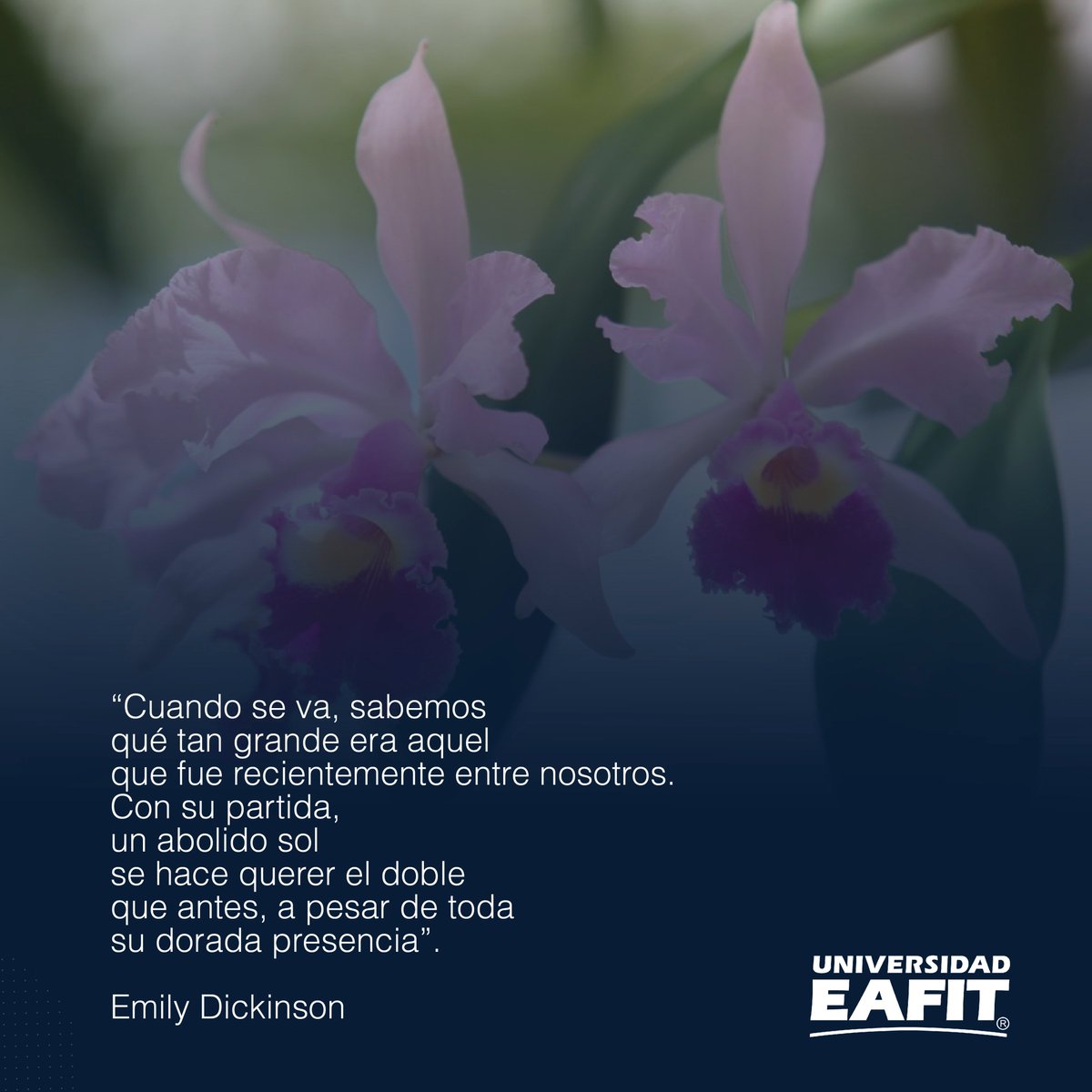 La comunidad eafitense extiende su más profundo cariño a Juan Luis Mejía, exrector de la Universidad, por la muerte de su madre, doña Mercedes Arango Villa. A él y a su familia nuestro abrazo de solidaridad.