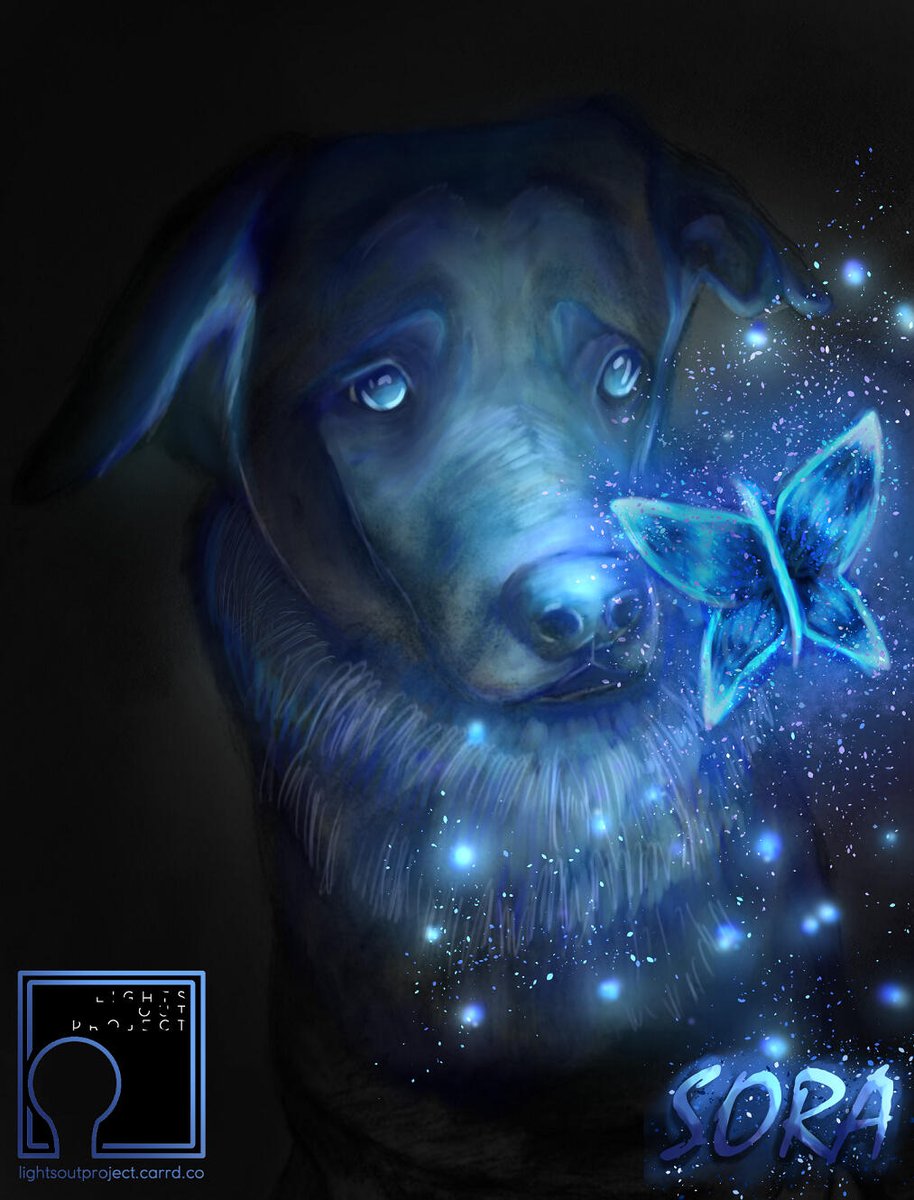 kouscafe's tweet photo. Hello! I'm new to twitter but I have been an artist for years now. Currently I have an open animal portrait commissions. Thank you! 

US Cost includes mailing and printing (A4).

#commissions #commissionsopen #artph #ArtistOnTwitter #pets #artshare https://t.co/59skmnZxAq