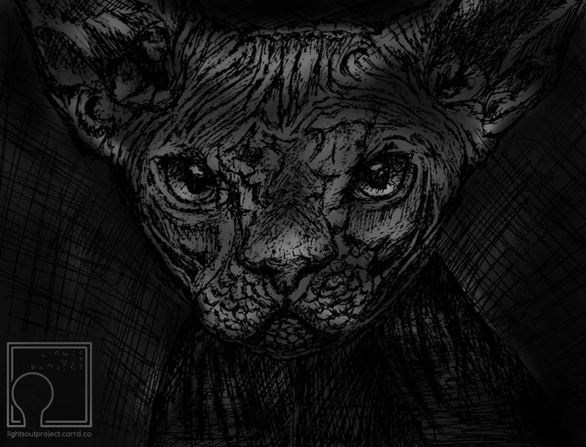 kouscafe's tweet photo. Hello! I'm new to twitter but I have been an artist for years now. Currently I have an open animal portrait commissions. Thank you! 

US Cost includes mailing and printing (A4).

#commissions #commissionsopen #artph #ArtistOnTwitter #pets #artshare https://t.co/59skmnZxAq