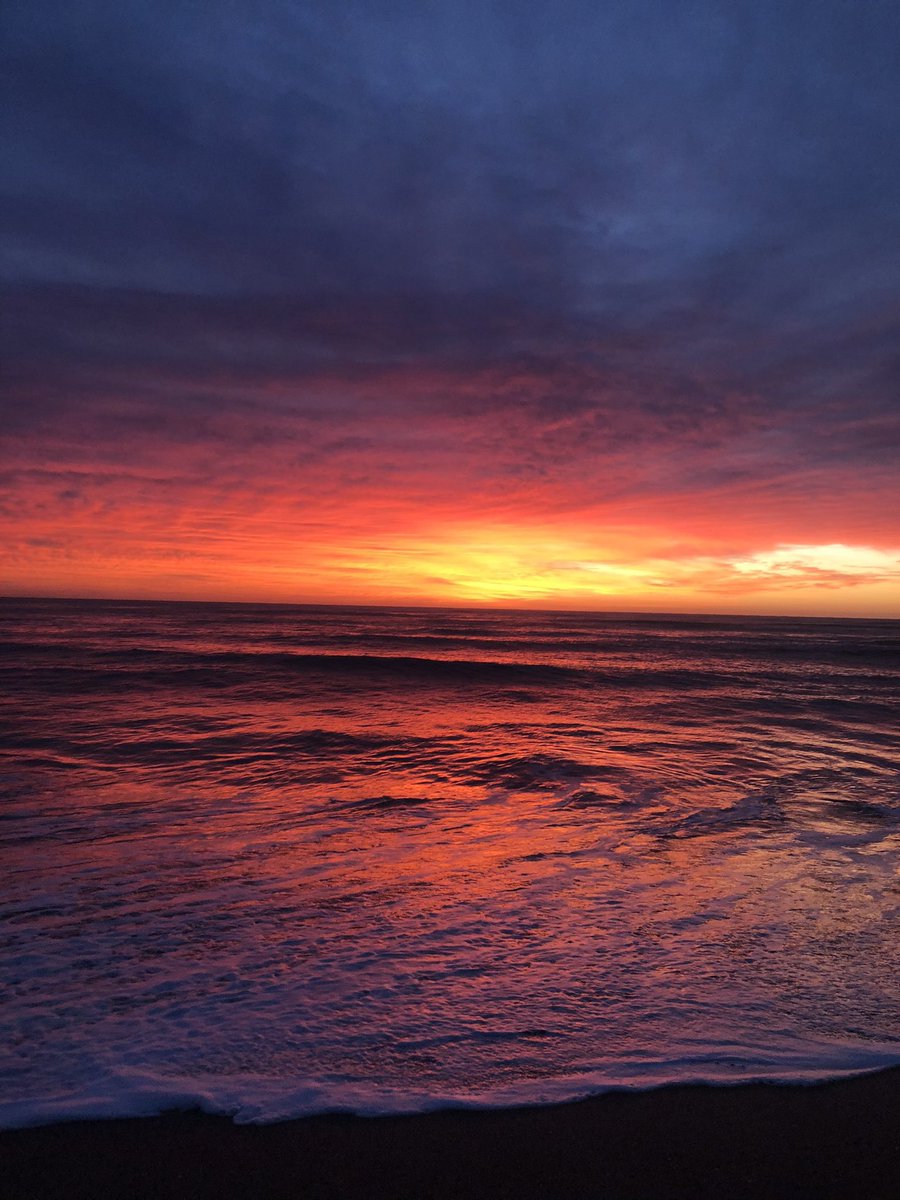 opacarofilia tweet media