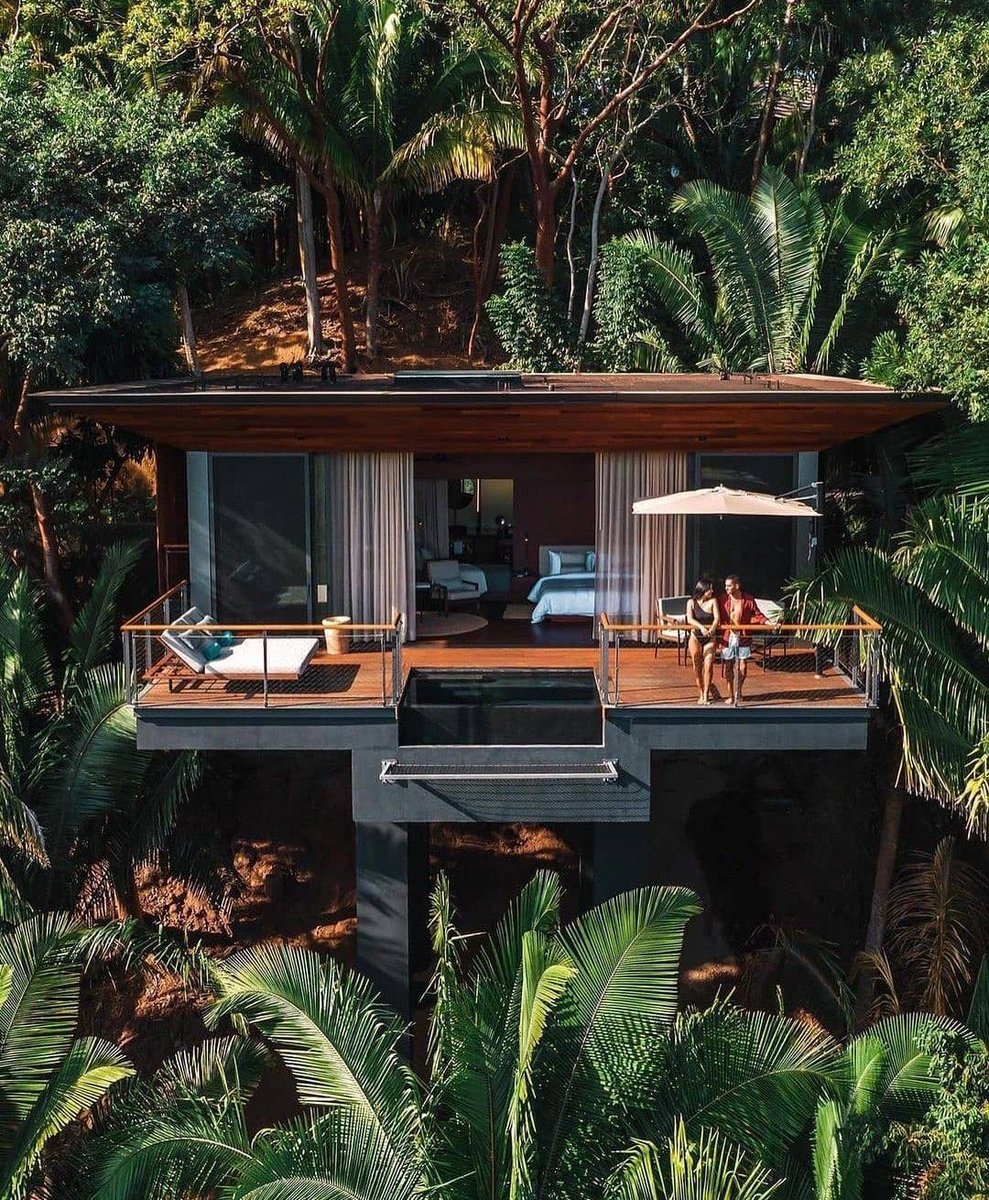 KingNFTpromos's tweet image. 