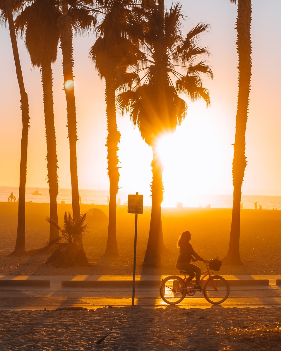 Silhouettes of Santa Monica ☀️