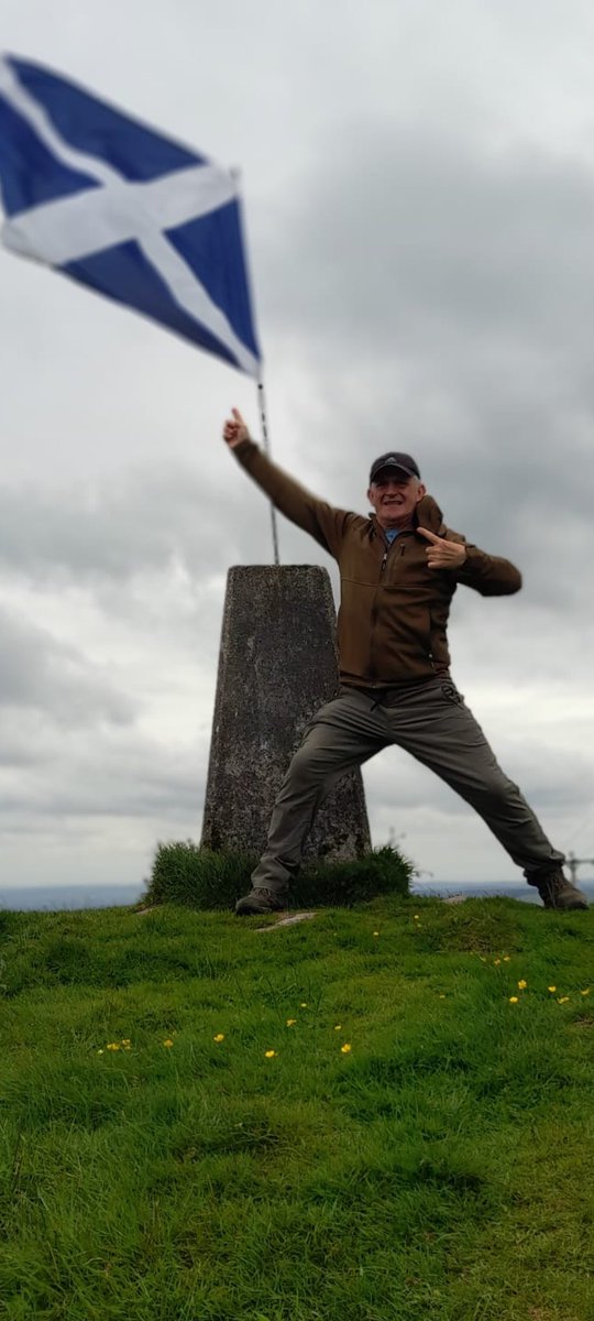 Pedroming tweet media