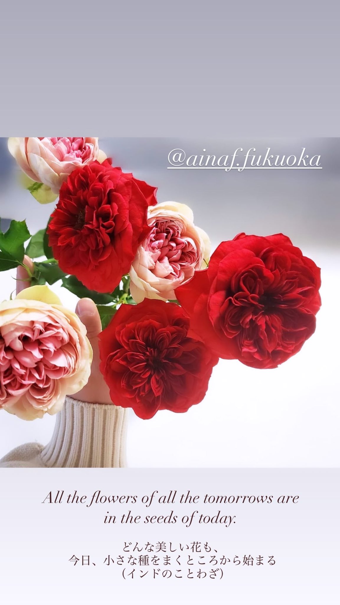 アイナフainaf 手作りのお花 キャンドル フラワーギフト 福岡 V Twitter 素敵なことわざを見つけたので備忘録 All The Flowers Of All The Tomorrows Are In The Seeds Of Today どんな美しい花も 今日 小さな種を蒔くところから始まる インドのことわざ
