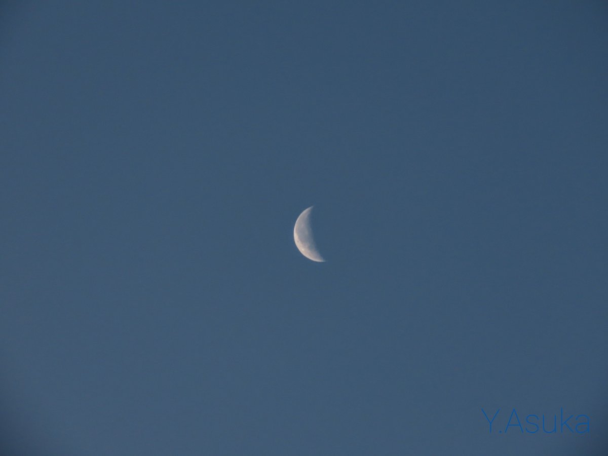yumeasutw's tweet photo. 🌘 #有明月 (月齢24.1)が
ほんのりオレンジに染まる
冷えた木曜日の朝❄️
日の出の後 #霧 が立ち昇り幻想的に💙
予想最高/最低気温🌡️11℃/-2℃
晴れ☀️
午後は北風が寒そう🌬️➰😖
#月 #moon
#空の名前
#雲の教室
#天気の図鑑 #雲友
#ゴールデンアワー
#高積雲
#青空 #Sunshine
#a2022 #a0127 #a202201 https://t.co/JuwB54DGXv