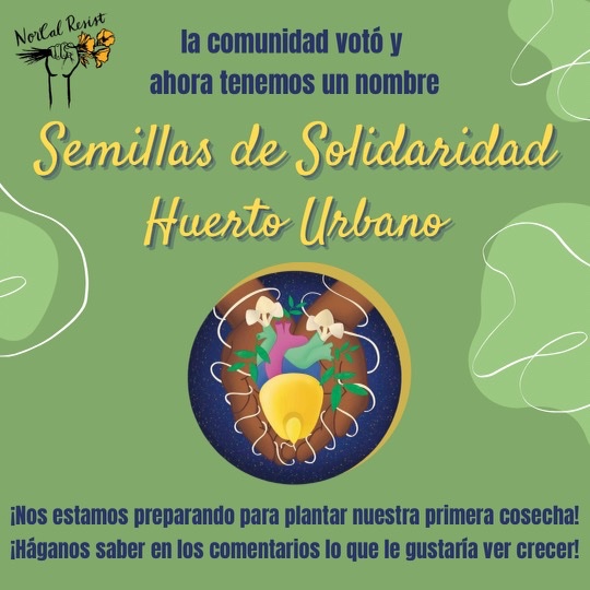 Pleased to announce the results of the community vote on our urban farm name! Seeds of Solidarity is the winner! We’d love to hear about what kinds of seeds you want us to order for spring planting 🌱🌱🌱🌱