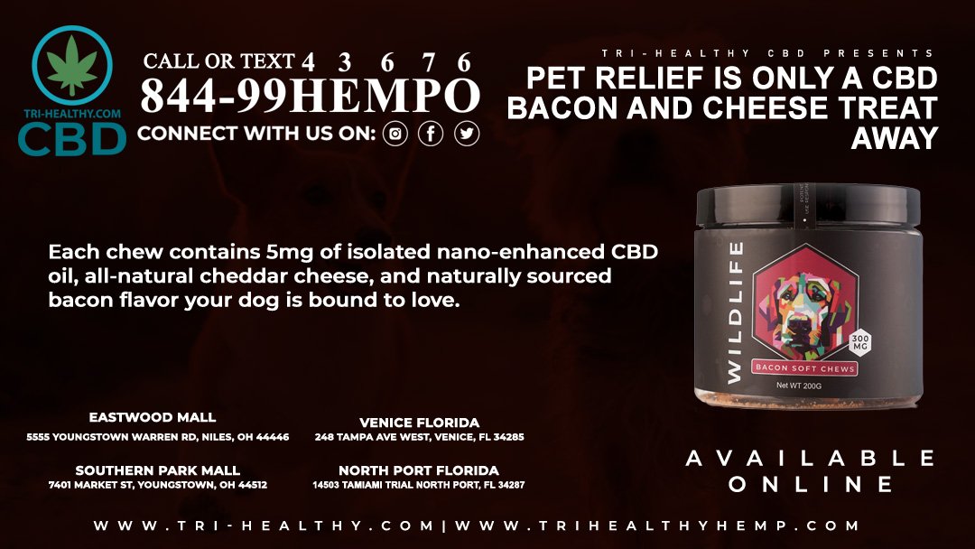 trihealthcbd's tweet photo. Is your dog dealing with some anxiety? You should check these out! https://t.co/Soxoa0la5e #Wildlife #BaconAndCheese #DogTreats #CBDDog #DogChews #CBDPets #CBDTreat #TriHealthyCBD https://t.co/cyvrmv9tx9
