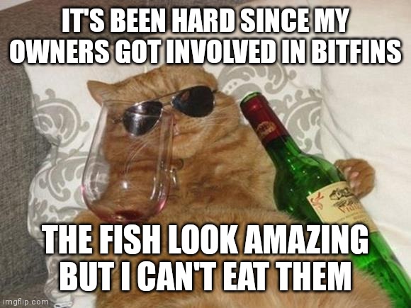 Cryptnix tweet media