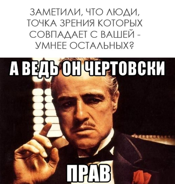 У моего брата огромный субтитры. Ты прав Мем. Загадочный Мем. А ведь он прав.