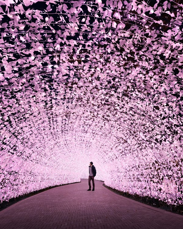 Intrepid tweet media