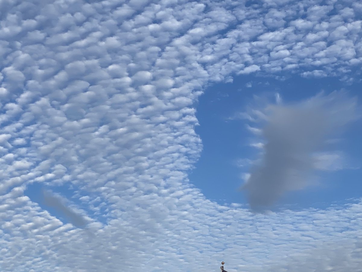 jksdunn616's tweet photo. @MargaretOrr look at these clouds over Harahan this afternoon! https://t.co/ejGfmGg5lU