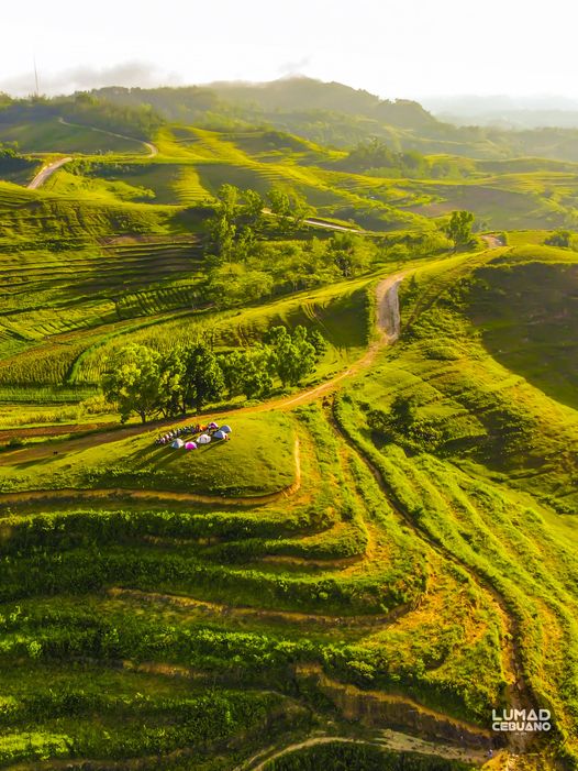 PhilippinesTV's tweet photo. A resemblance of Banaue Rice Terraces in Mountain Province,Luzon 
📍Libo Hills in Alegria, Cebu 
📸 Lumad Cebuano https://t.co/R7HuPFyQFX