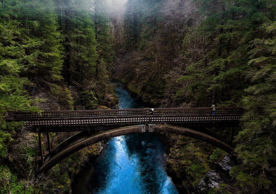 Vancouver_USA's tweet image. Sometimes you just need to escape the routine and reconnect with nature. ✨  #TrueToNature #SWWA #DiscoverVanWA (📸IG: riggs_photos )