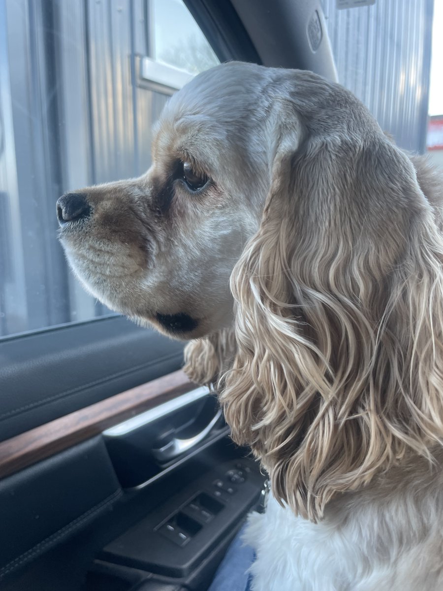 jpkitchener's tweet photo. This is Bartlet. He thinks that performative tweets are not enough to address the systemic issues that directly impact employee mental health. It’s a start, but do better @wrdsb. And stop paying for Lifespeak. The emails are insulting. #BellLetsNot https://t.co/WszBf2Vibd