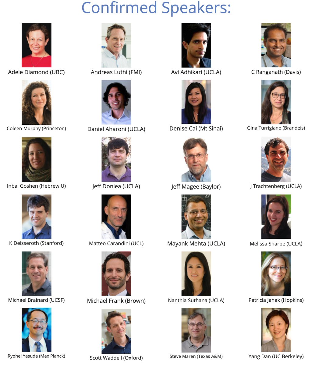 alcinojsilva's tweet image. Please RT: Exciting in person 2 day Learning and Memory Symposium at UCLA on April 18 and 19 2022. Registration  required but FREE: iclm.ucla.edu/events/SCLM202…