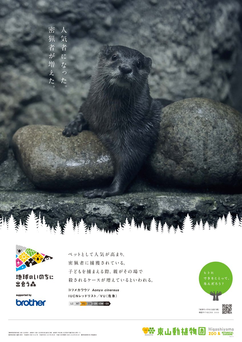 Brother Brand Japan Brotherbrandjp Twitter