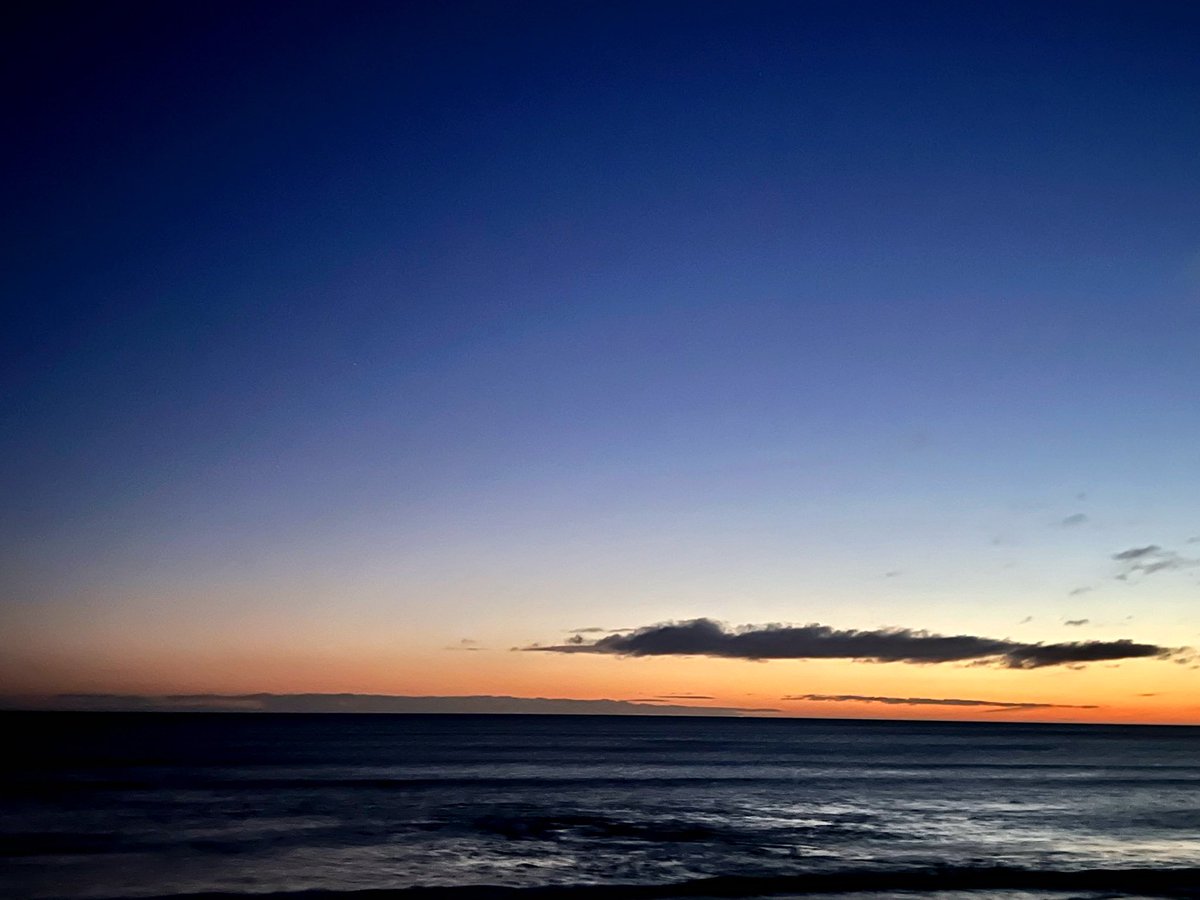 Stephanie Holt🦊 tweet media