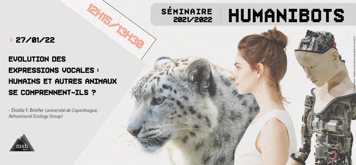 MSH_A's tweet photo. ⏰Le séminaire #Humanibots revient aujourd'hui à 12h15 
RDV avec @elodiebriefer (@uni_copenhagen @behaveco) qui présentera ses recherches sur l'expression vocale &amp; la perception des émotions au sein et entre les espèces.
Visioconférence sans inscription
ℹ️ https://t.co/YMrBzEKtnP https://t.co/g3zfrYZYAs