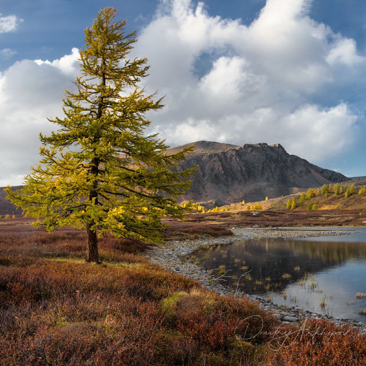 d_arkhipov's tweet photo. N13 #Altai Mountains, #Russia https://t.co/laOrJYQoDN