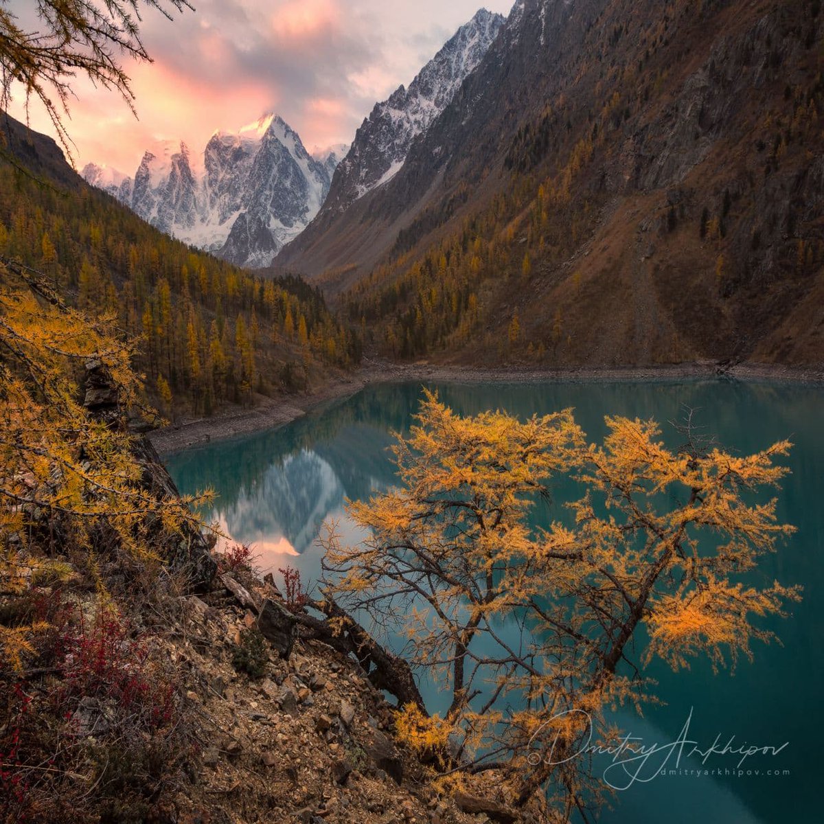 d_arkhipov's tweet photo. N13 #Altai Mountains, #Russia https://t.co/laOrJYQoDN