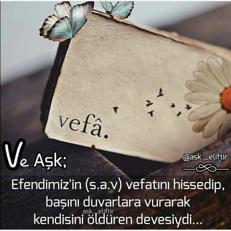 Sen gittin ya Resulallah. 
Ümmetin çaresiz kaldı.
Öksüzler yetimler sahipsiz kaldı Dünyada dört bir yanı zulüm sardı.
Mazlumlar,boynu bükük garip kaldı NERDESIN.
Sen yokken,
Ebubekir yanar oldu,
Ömeri Osmanı ayrılık vurdu,
Bilalim Ezan okuyamaz oldu,
Aliyle Fatmanın gülü soldu.