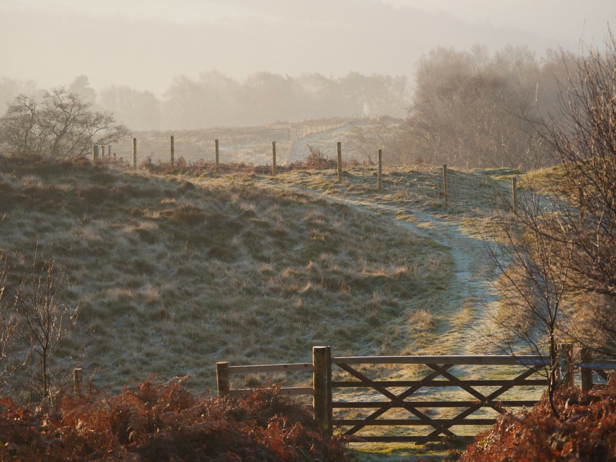 Find yourself a patch of tranquillity in nature and return to it again and again when you feel the need. #EveryoneNeedsNature